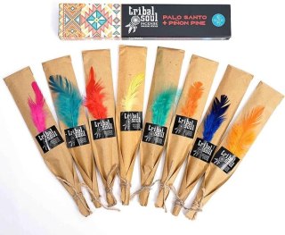 Sweetgrass & Cedar - Tribal Soul Hari Darshan