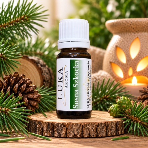 Sosna Szkocka 10 ml – 100% naturalny olejek eteryczny Pinus Sylvestris Oil • Scotch Pine • Szkocja LUKA Aroma